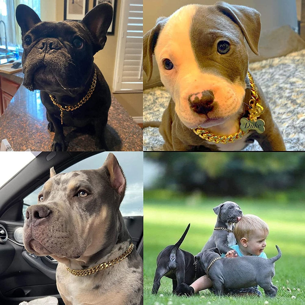 Kubanische Gliederkette aus Gold für Hunde