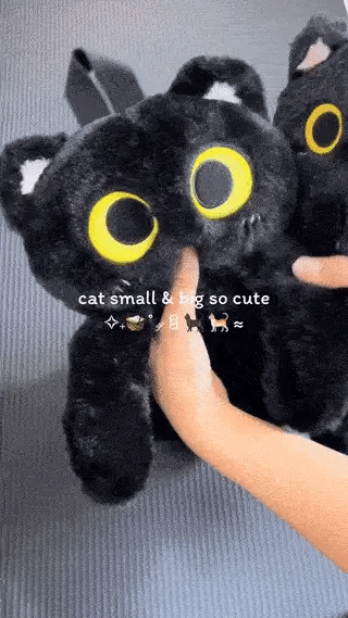 Catnap Bag