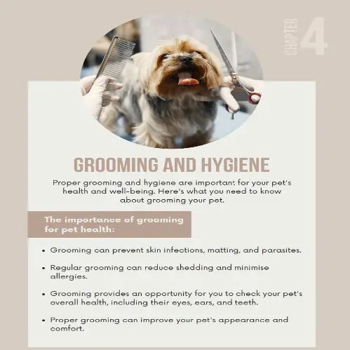 犬のケアの究極ガイド(デジタルダウンロード)