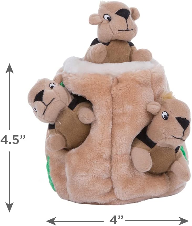 Hide A Squirrel Plush Dog Toy Puzzle