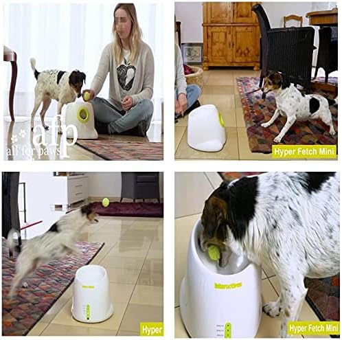 AFP Dog Tennis Ball Launcher