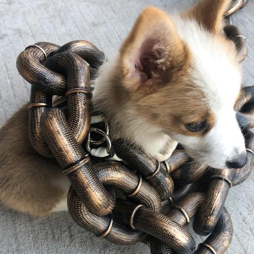 BeastChain Hundeleine aus künstlicher Metallkette