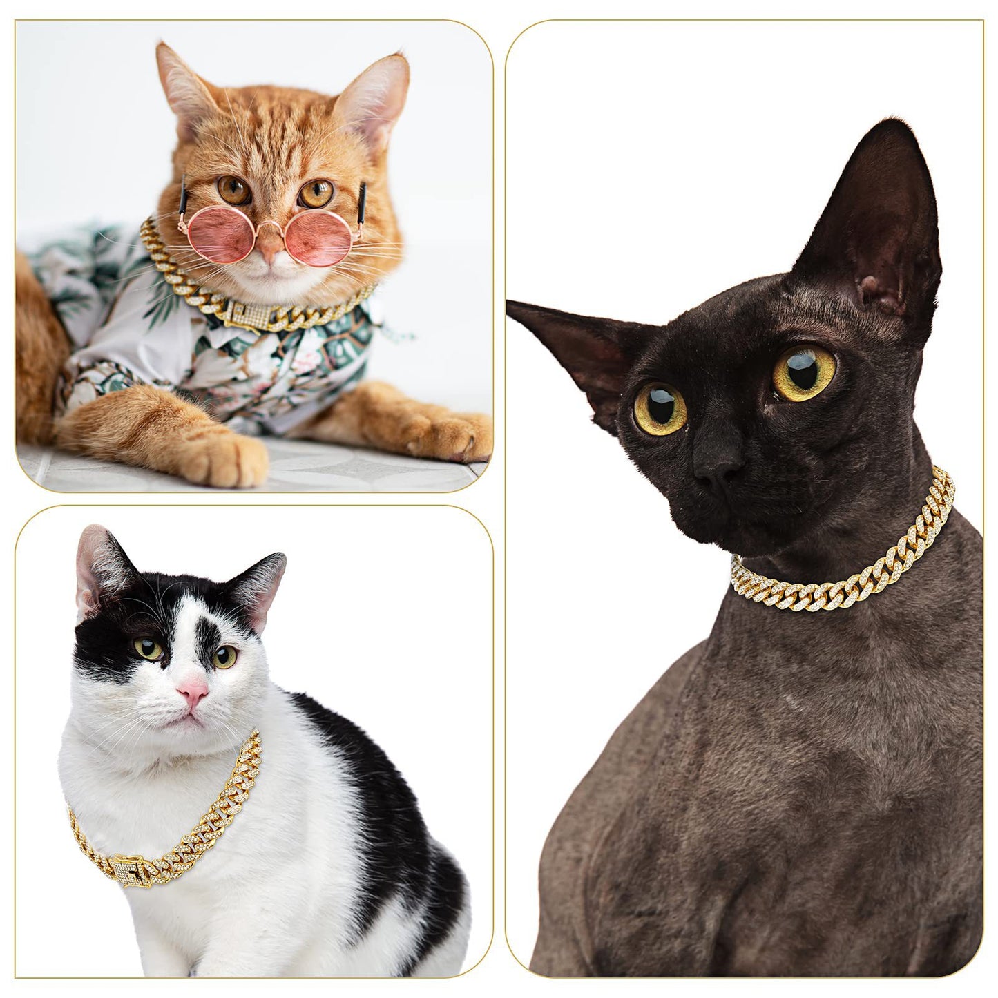 Kubanische Gliederkette aus Gold für Hunde