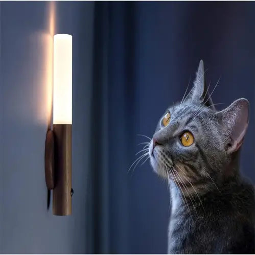 ルミン モーションセンサーライト