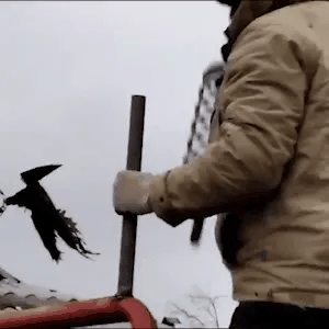 Mr. Bones Scream Vogelscheuche
