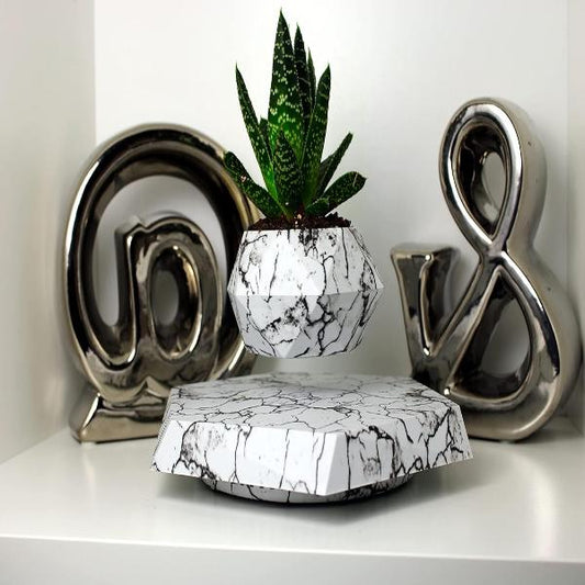 レヴィプランター