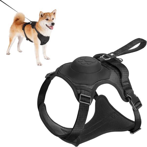 Hundeleinengeschirr mit Bungee-Cord