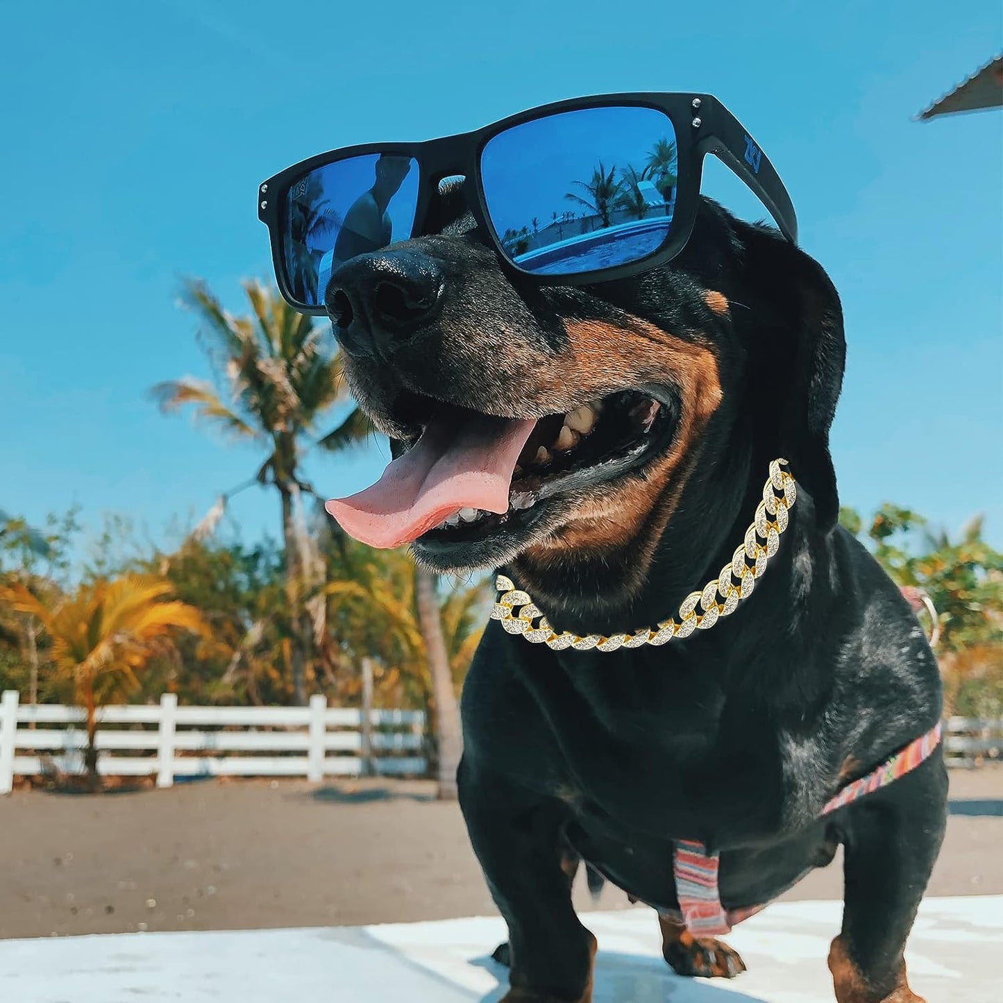 Kubanische Gliederkette aus Gold für Hunde