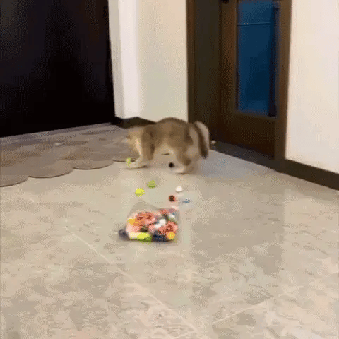 Cat Soft ball Toy
