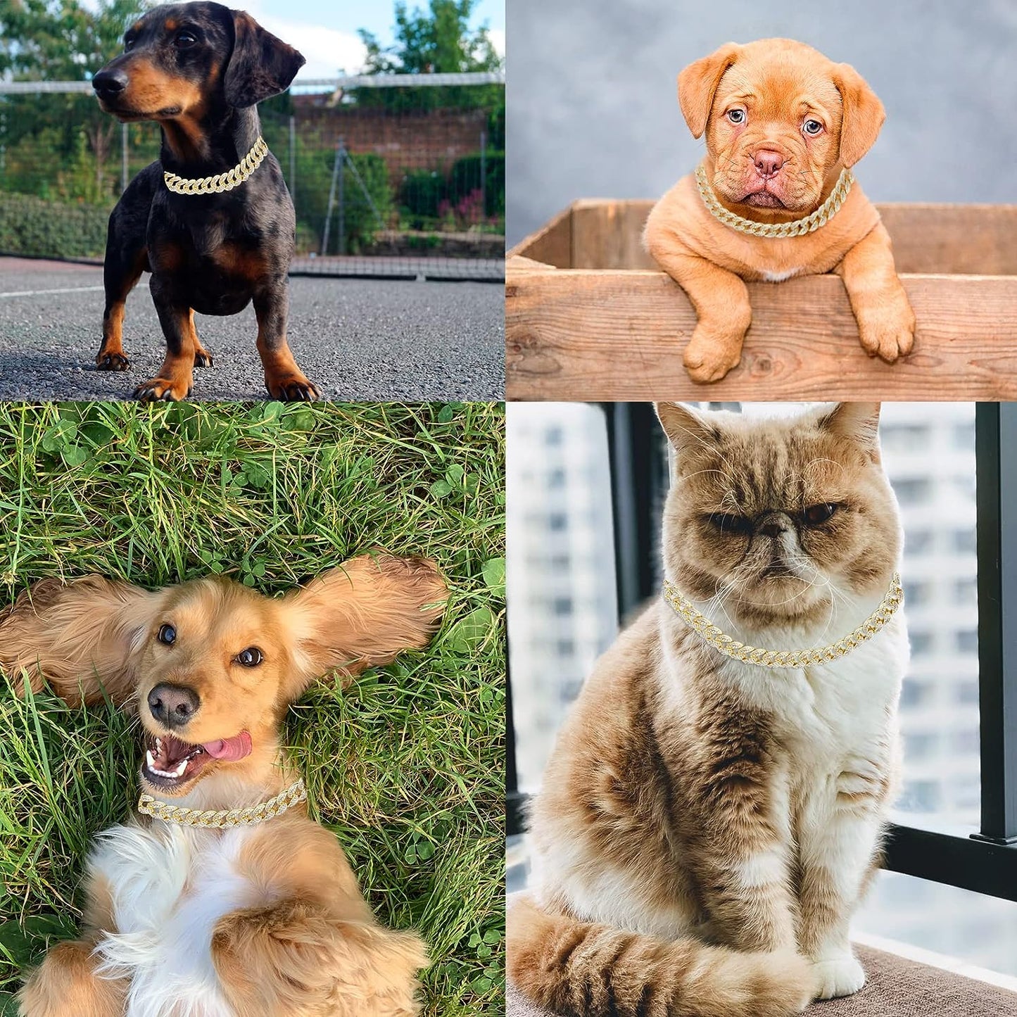 Kubanische Gliederkette aus Gold für Hunde
