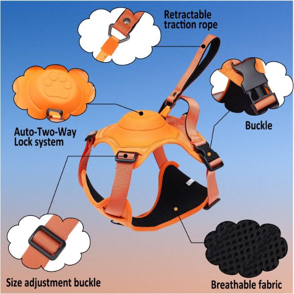 Hundeleinengeschirr mit Bungee-Cord