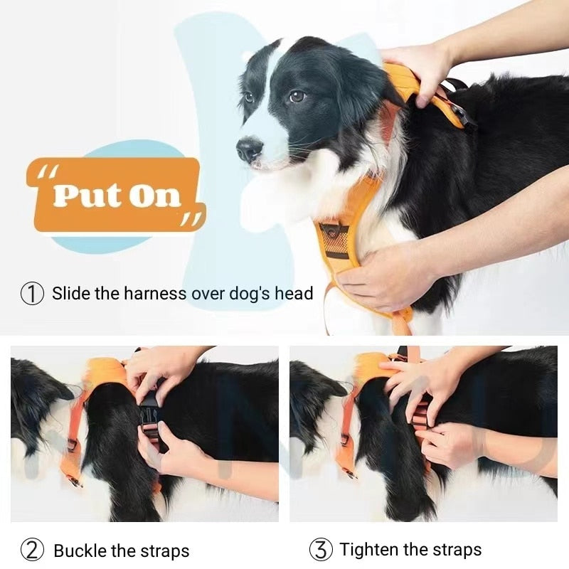 Hundeleinengeschirr mit Bungee-Cord