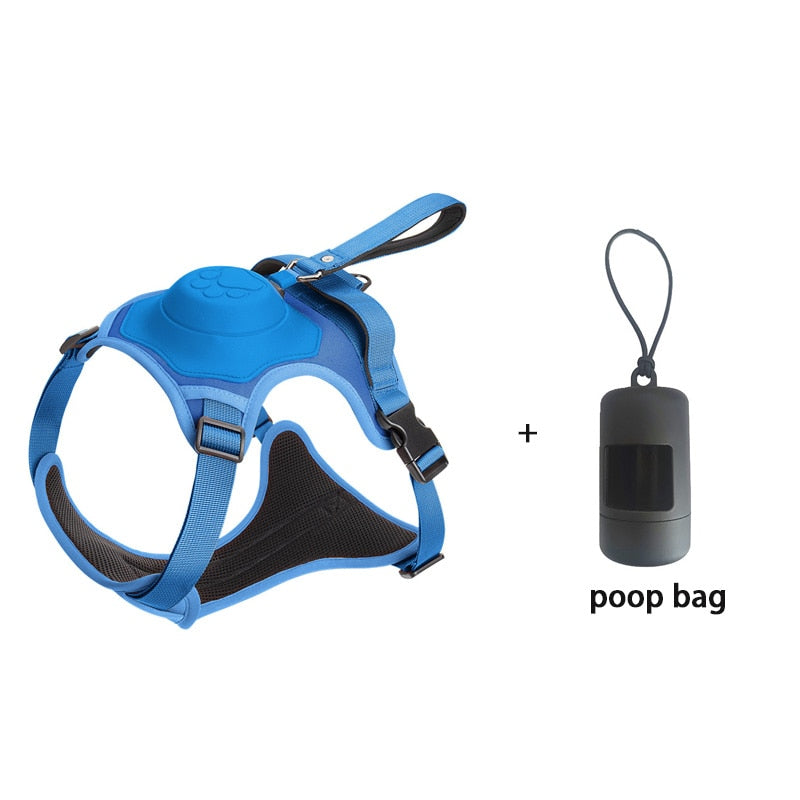 Hundeleinengeschirr mit Bungee-Cord
