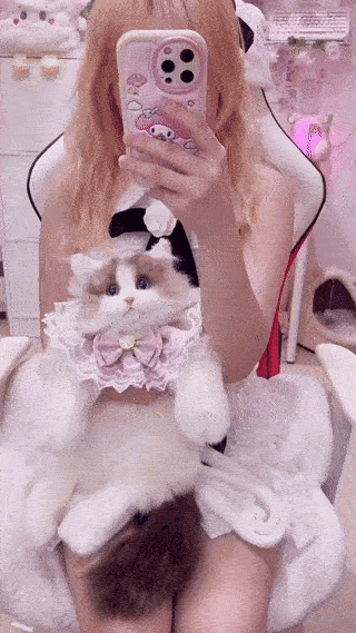 Ultrarealistische handgemachte Ragdoll-Plüschkatzentasche