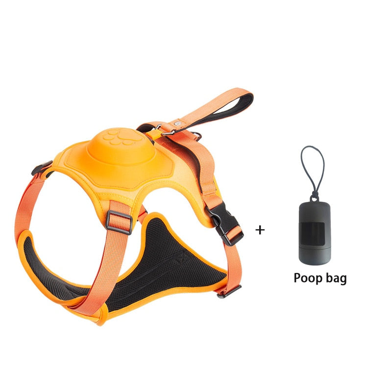 Hundeleinengeschirr mit Bungee-Cord