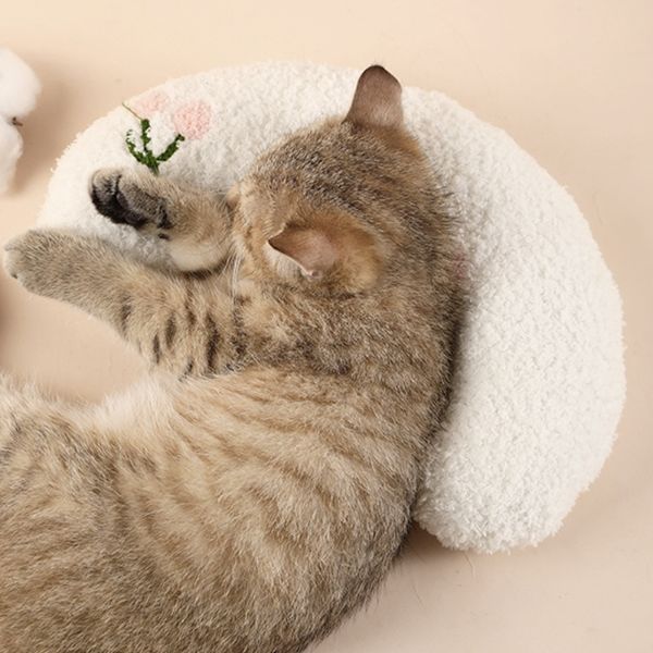 KOSTENLOSES Beruhigungskissen für Katzen (GESCHENK)