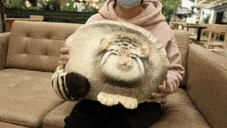 3Dパラス猫ぬいぐるみ