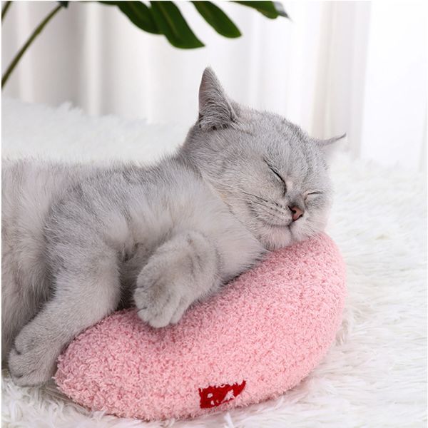 KOSTENLOSES Beruhigungskissen für Katzen (GESCHENK)