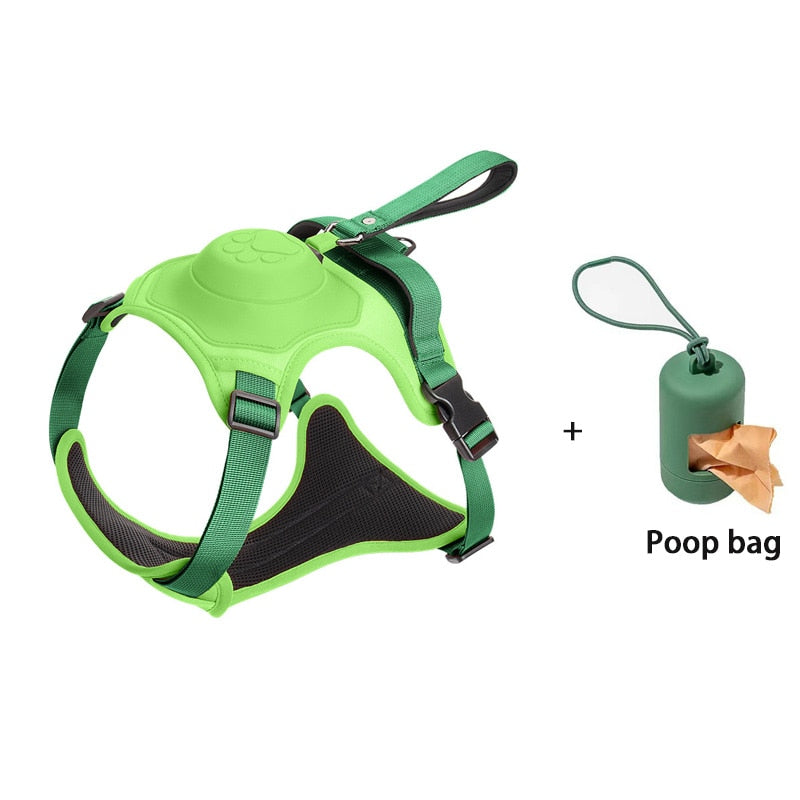 Hundeleinengeschirr mit Bungee-Cord