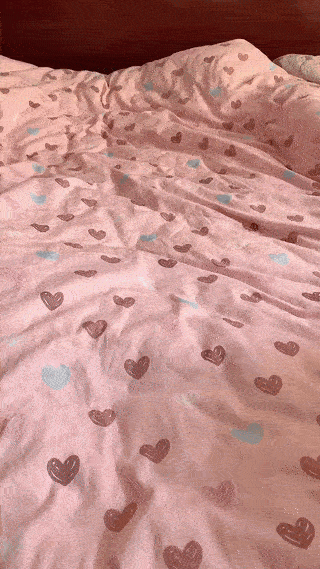 赤ちゃんアザラシのぬいぐるみ枕