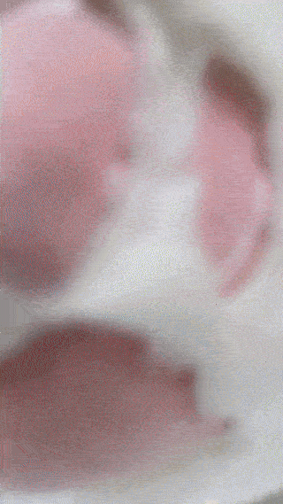 Süße Katzenpfoten-Plüschtasche