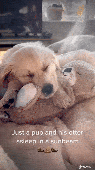 Heartbeat Aid Puppy Toy Plush Otter