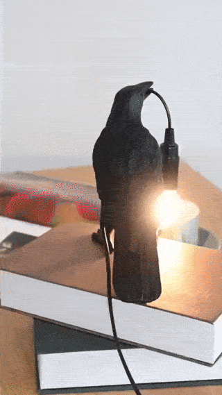 Nordic Black Crow Lamp