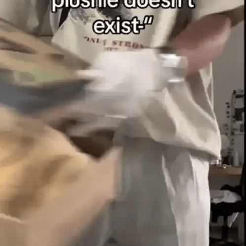 Japanisches Taiyaki-Katzenplüschtier