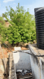 面白い3Dプリントのタートルカップホルダー