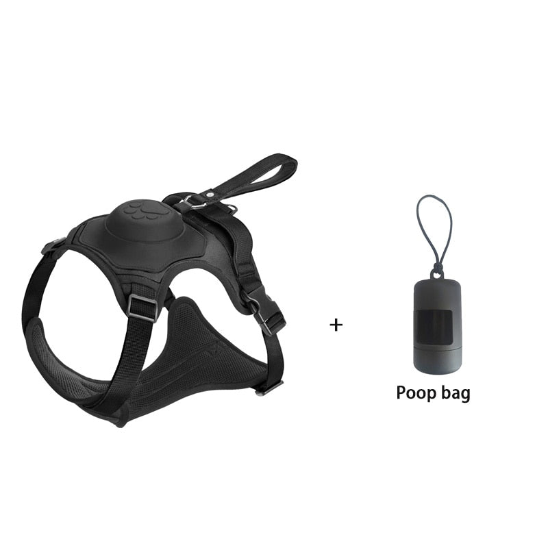 Hundeleinengeschirr mit Bungee-Cord