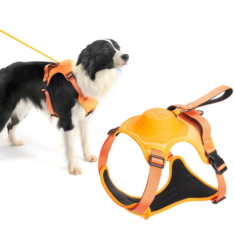 Hundeleinengeschirr mit Bungee-Cord