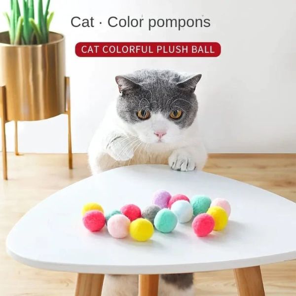 Cat Soft ball Toy