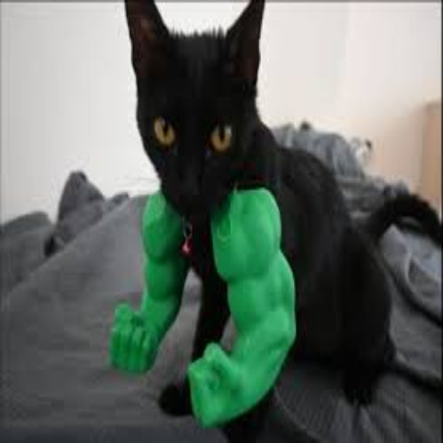 Cat Hulk Arm