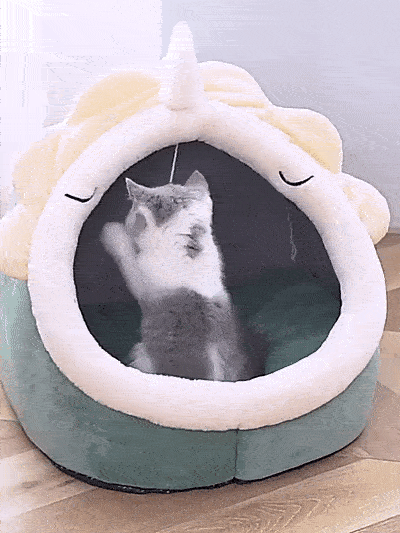 Gemütliches Katzenbett