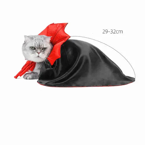 Dracula Katzenkostüm