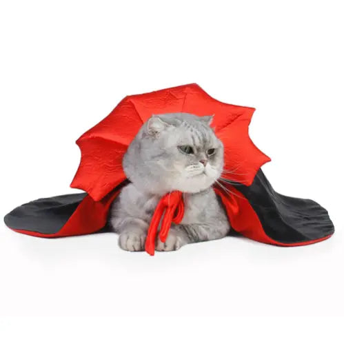 Dracula Katzenkostüm
