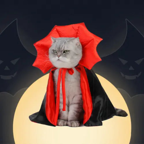 Dracula Katzenkostüm
