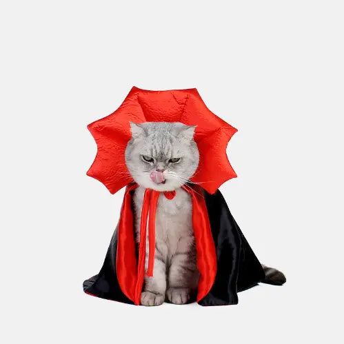Dracula Katzenkostüm