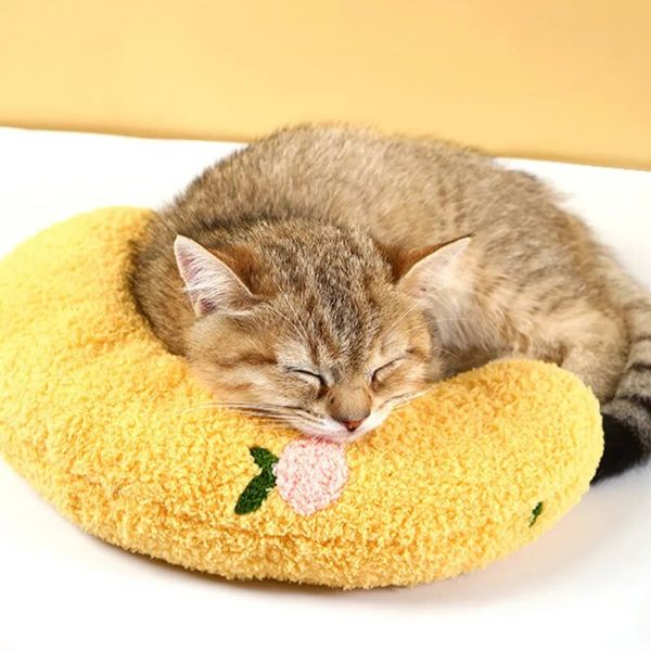 KOSTENLOSES Beruhigungskissen für Katzen (GESCHENK)