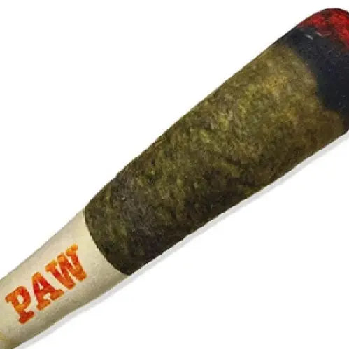 Plüschtier „Hundezigarre“