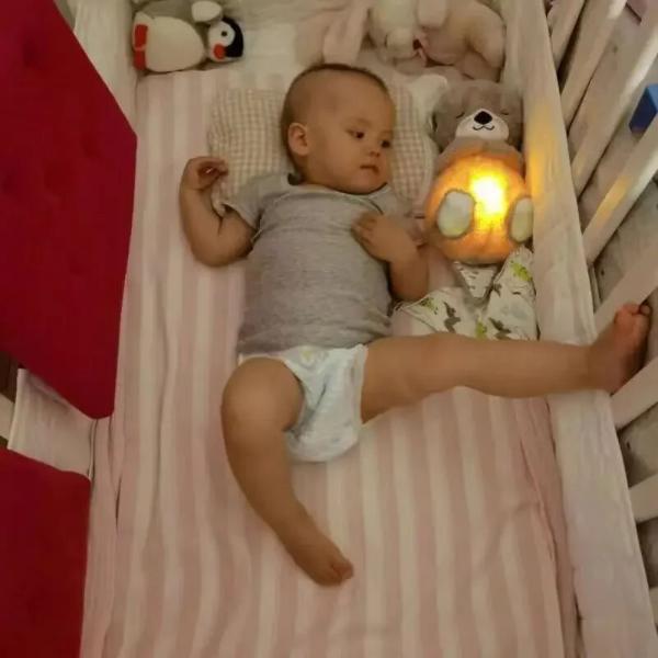 Breathing Plush Otter & Koala With Heartbeat Sleeping Aid
