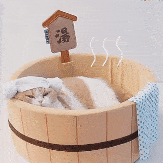 Japanese Onsen Bath Cat /Dog Bed