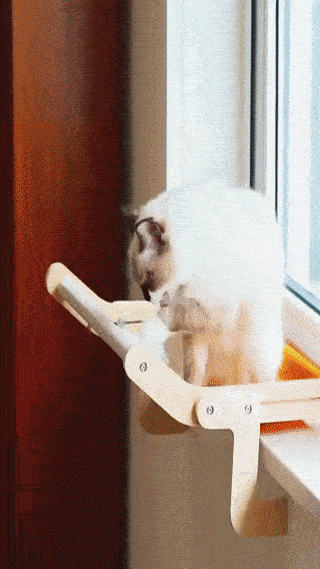 Katzen-Fenstersitz-Hängematte