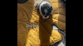 葉っぱの形をした犬用ブランケット