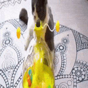 2023 ウィンドミル インタラクティブ キャットニップ おもちゃ