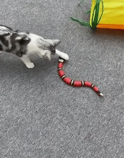 Interactive Smart Sensing Snake Cat Toy