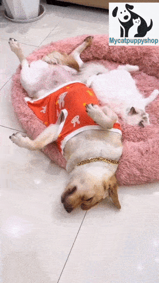 Barkermeow Rundes Plüsch-Donut-Katzen- und Hundebett