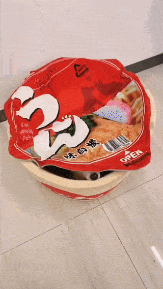 Japanese Ramen Noodle Cup Dog Bed