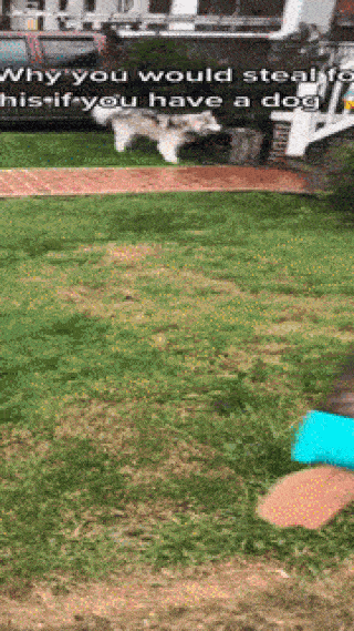 KOMMILIFE 5-In-1 ポータブル犬用ウォーターボトル