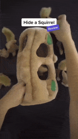 Hide A Squirrel Plush Dog Toy Puzzle